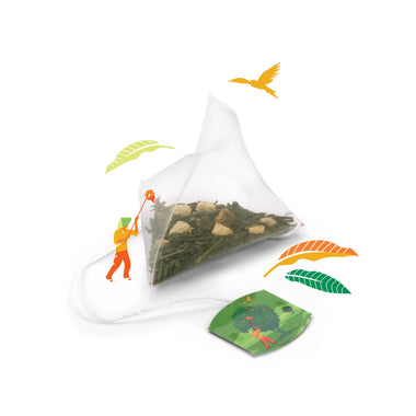Discovery Collection Mango & Ginger Green Tea - 15 Pyramid Tea Bags